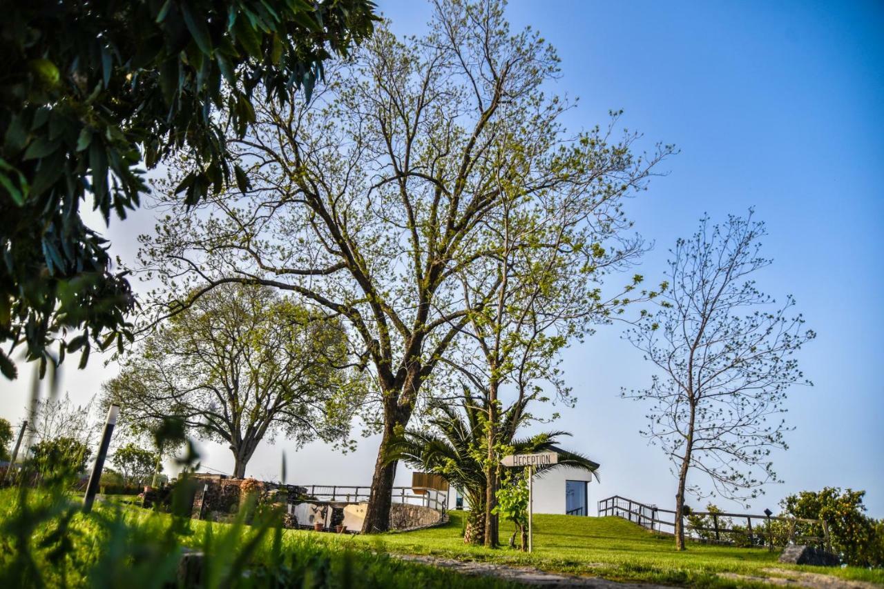 Bed and Breakfast AGRO Sicily Mascali Exterior foto